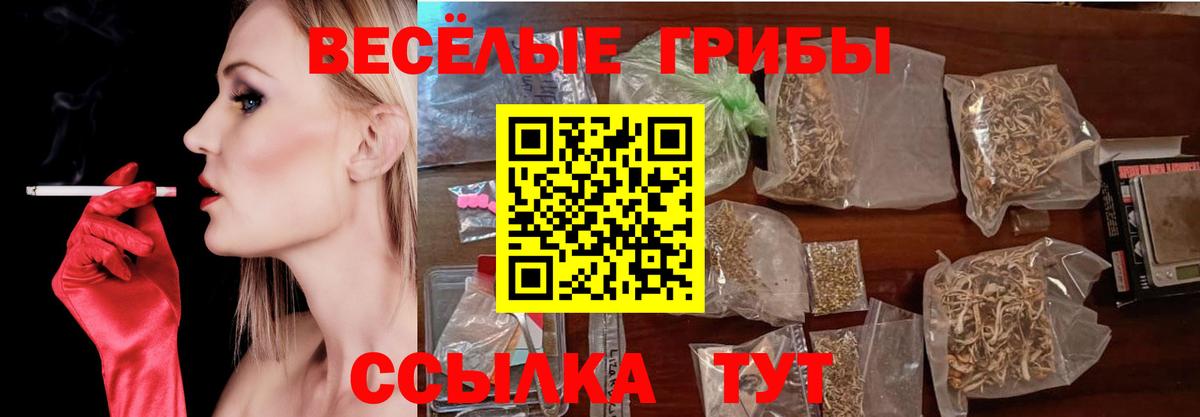Галлюциногенные грибы GOLDEN TEACHER Курчалой
